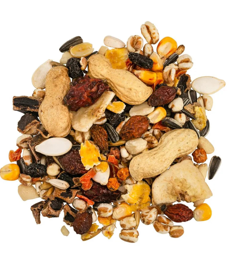 Dehner Natura Premium Eichhörnchenfutter Eichhörnchen-Mix, 600 g