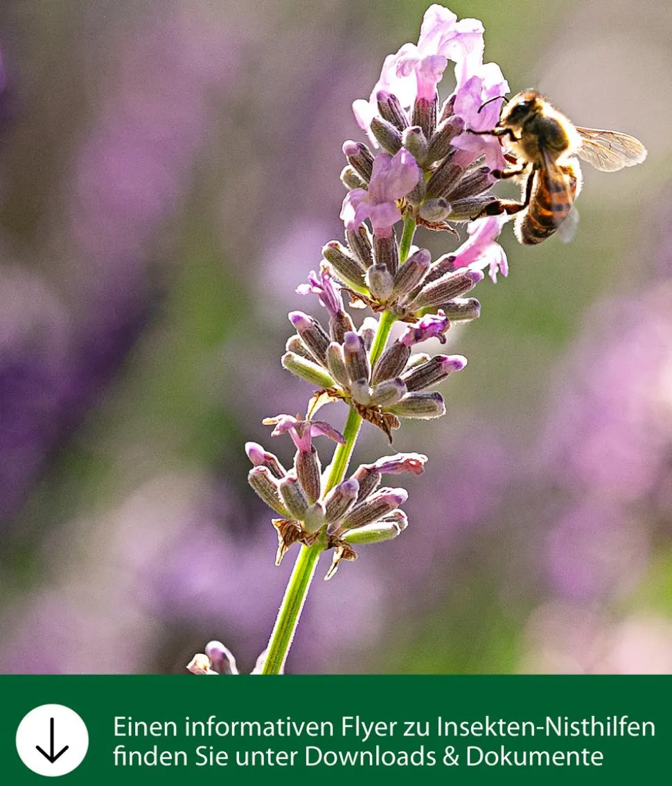 Dehner Natura Premium Insektenhotel Louisiana