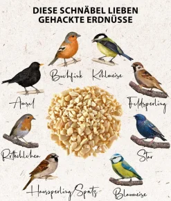 Dehner Natura Premium Wildvogelfutter Gourmet Blocks mit Mehlwürmern, 6 Stk á ca. 90 g
