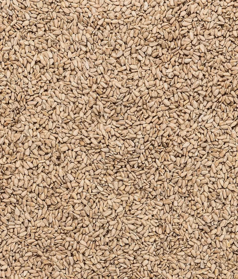Dehner Natura Premium Wildvogelfutter Geschälte Sonnenblumenkerne