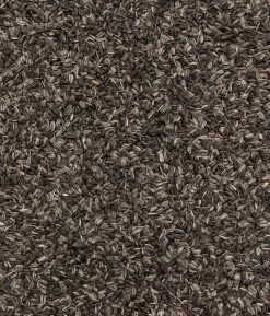 Dehner Natura Premium Wildvogelfutter Pinienzapfen