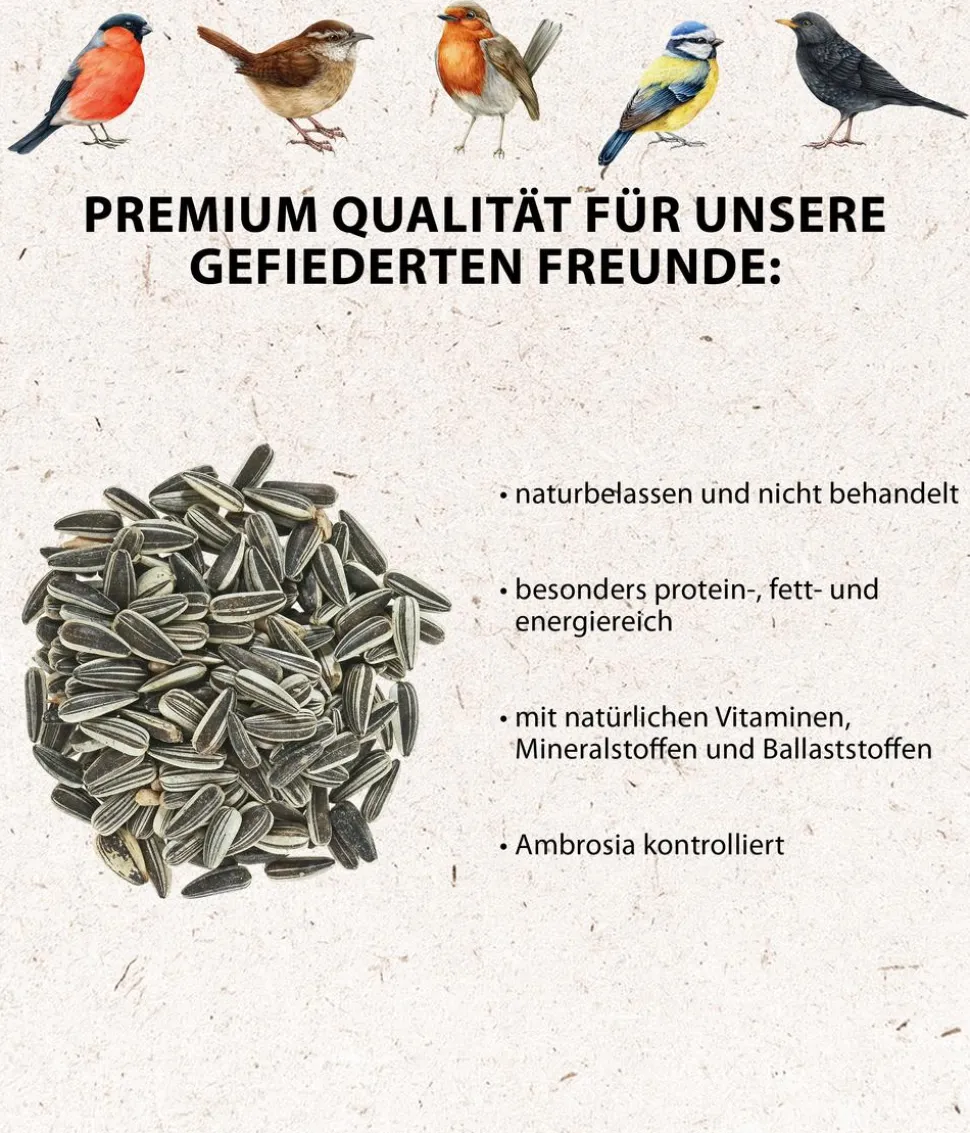 Dehner Natura Premium Wildvogelfutter Pinienzapfen