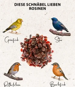 Dehner Natura Premium Wildvogelfutter Rosinen