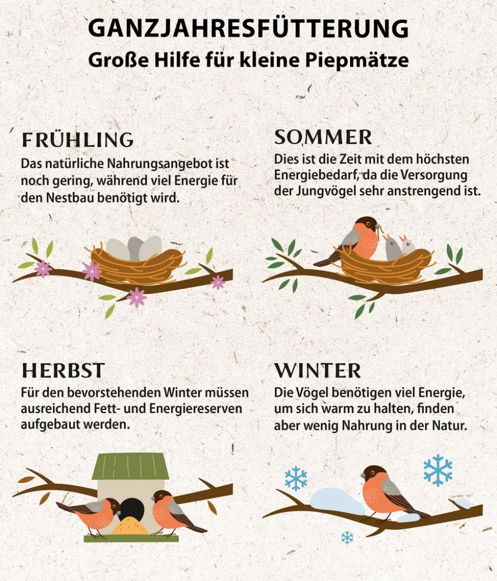 Dehner Natura Premium Wildvogelfutter Rosinen