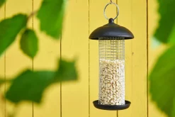 Dehner Natura Premium Wildvogelfutter Halbe/Ganze Erdnüsse