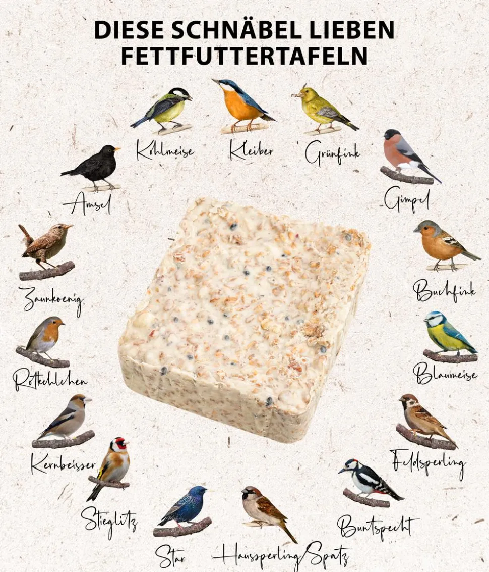 Dehner Natura Premium Wildvogelfutter Meisenknödel im Eimer, mit Netz