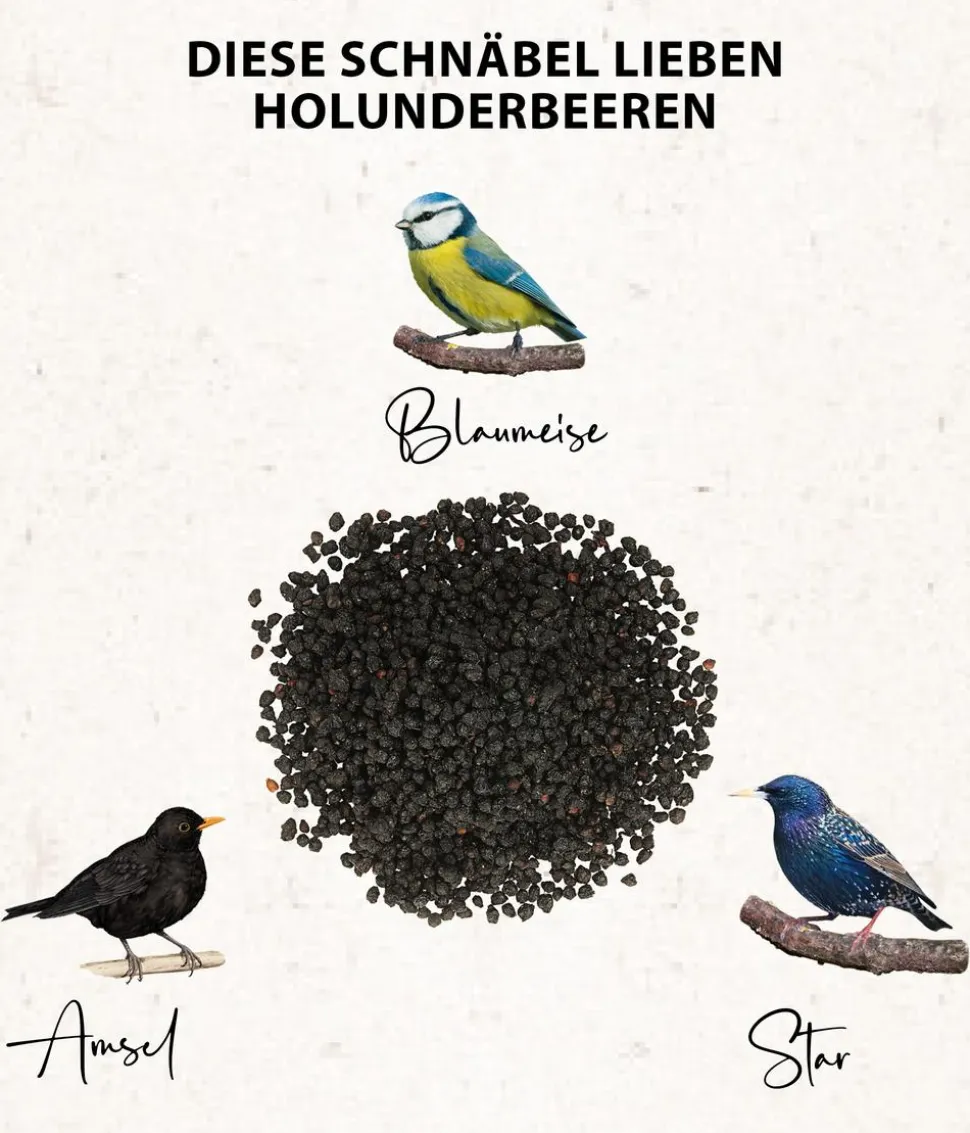 Dehner Natura Premium Wildvogelfutter Rosinen