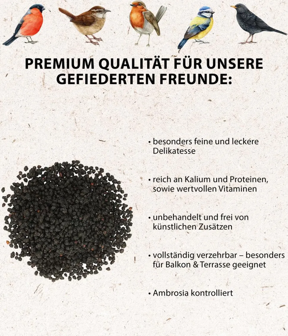 Dehner Natura Premium Wildvogelfutter Rosinen