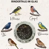 Dehner Natura Premium Wildvogelfutter Rindertalg im Glas, Sonnenblumenkerne, 8 x 250 g