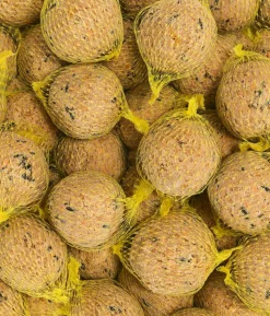 Dehner Natura Premium Wildvogelfutter Insekten-Meisenknödel im Karton, mit Netz, 30 Stk.