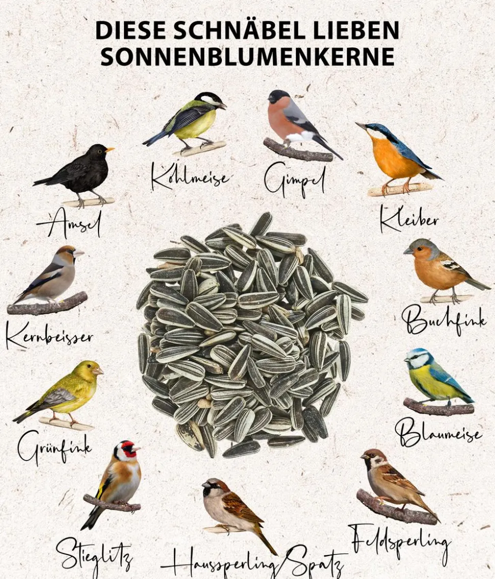 Dehner Natura Premium Wildvogelfutter Meisenknödel, mit Netz, 6 Stk.