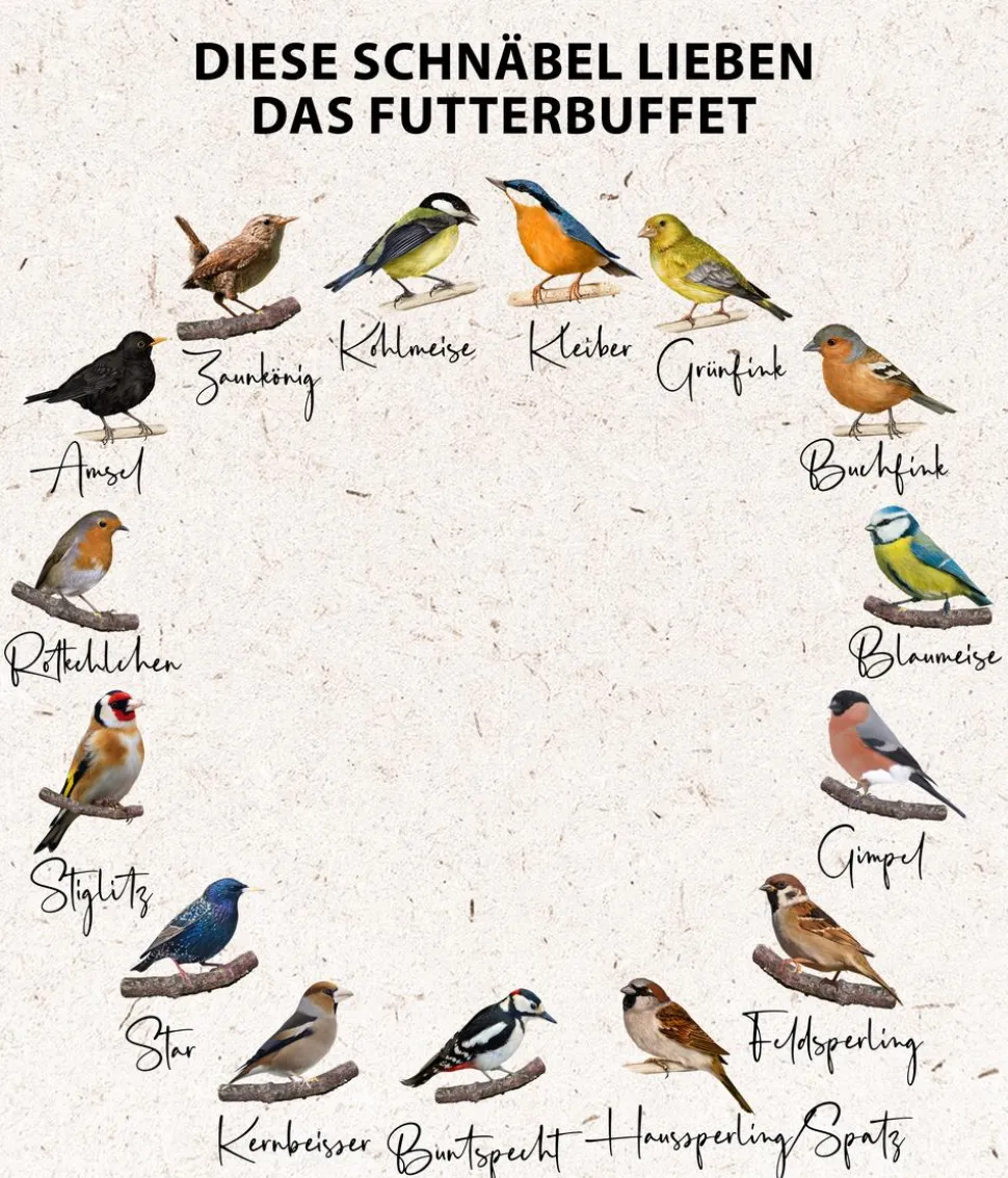 Dehner Natura Premium Wildvogelfutter Futterbuffet Maxi, 8-teilig