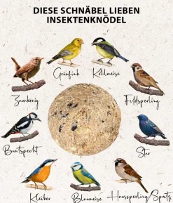 Dehner Natura Premium Wildvogelfutter Pinienzapfen