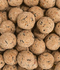 Dehner Natura Premium Wildvogelfutter Pinienzapfen