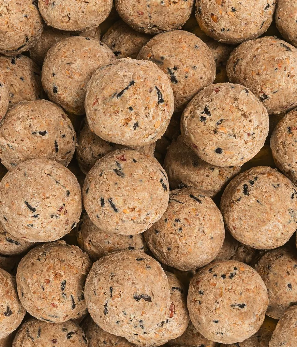 Dehner Natura Premium Wildvogelfutter Pinienzapfen