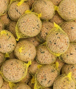 Dehner Natura Premium Wildvogelfutter Ebereschenbeeren, 350 g