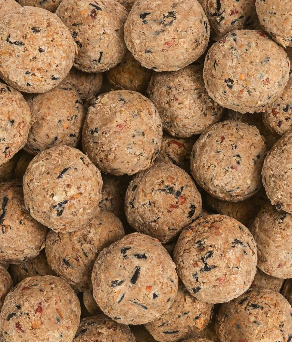 Dehner Natura Premium Wildvogelfutter-Set, Meisenknödel & Streufutter, 2-teilig
