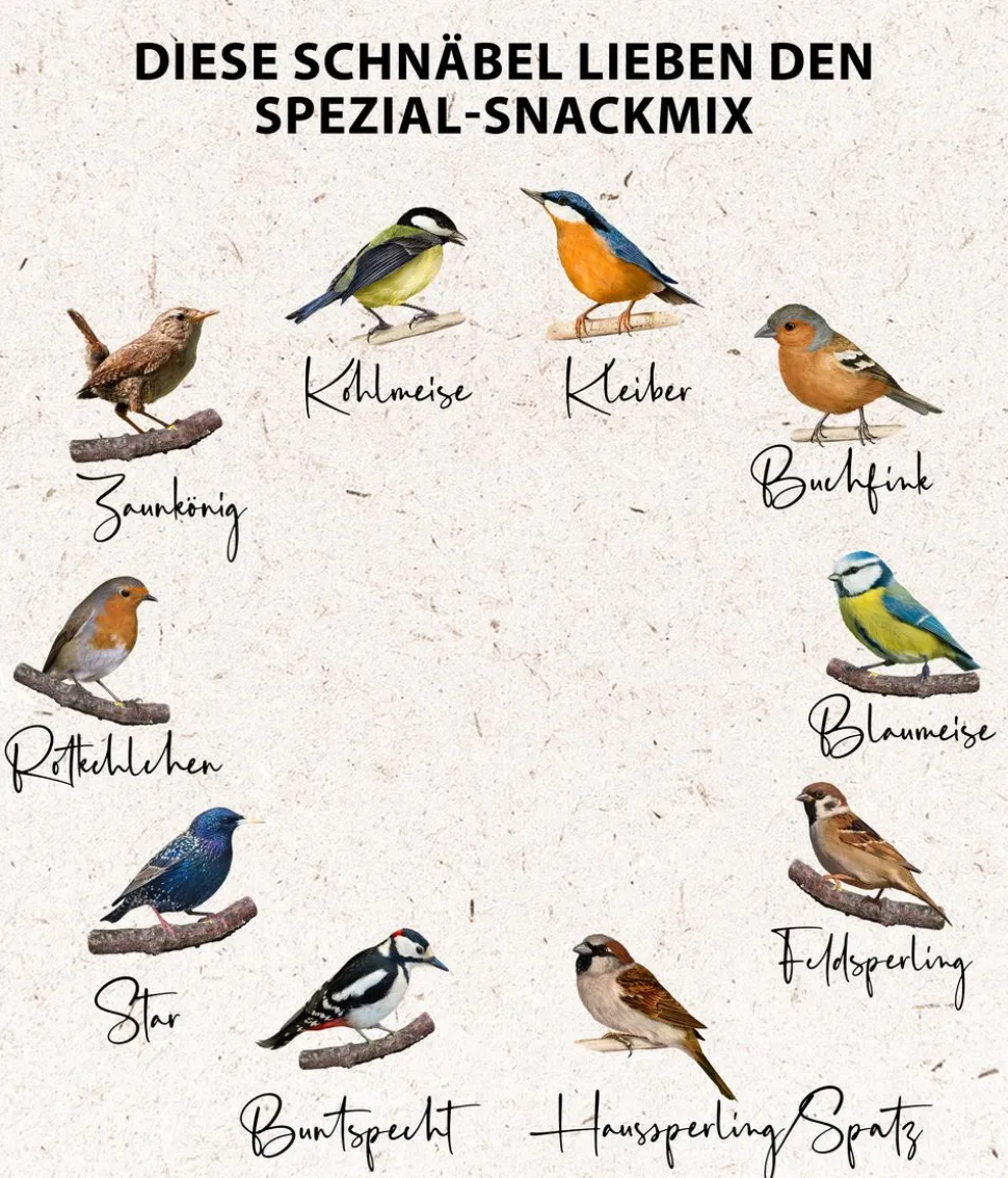 Dehner Natura Premium Wildvogelfutter Spezial-Snackmix, 6-teilig