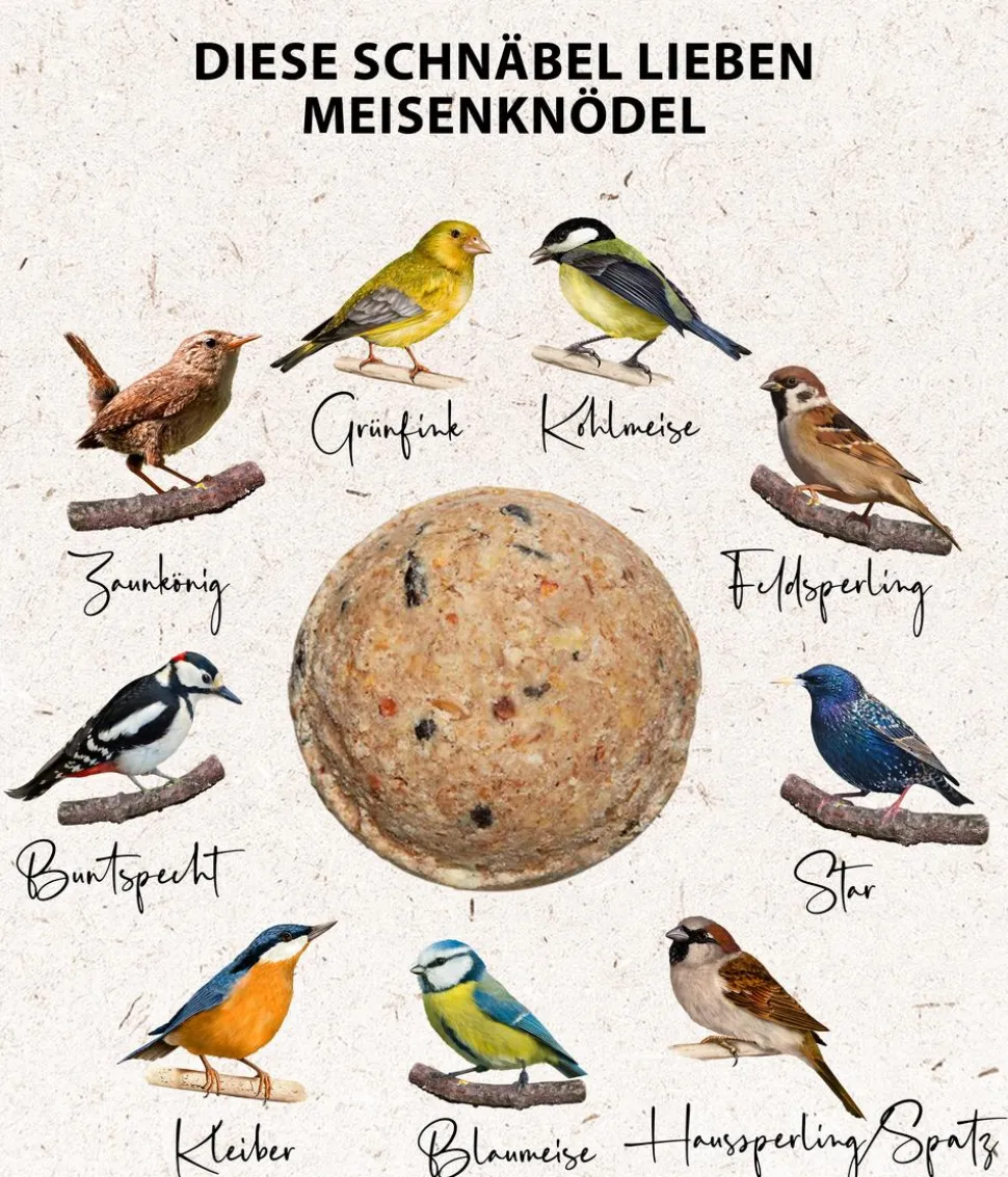 Dehner Natura Premium Wildvogelfutter Meisenknödel im Eimer, ohne Netz