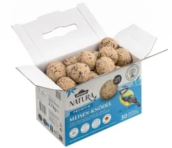 Dehner Natura Premium Wildvogelfutter Meisenknödel im Karton, ohne Netz