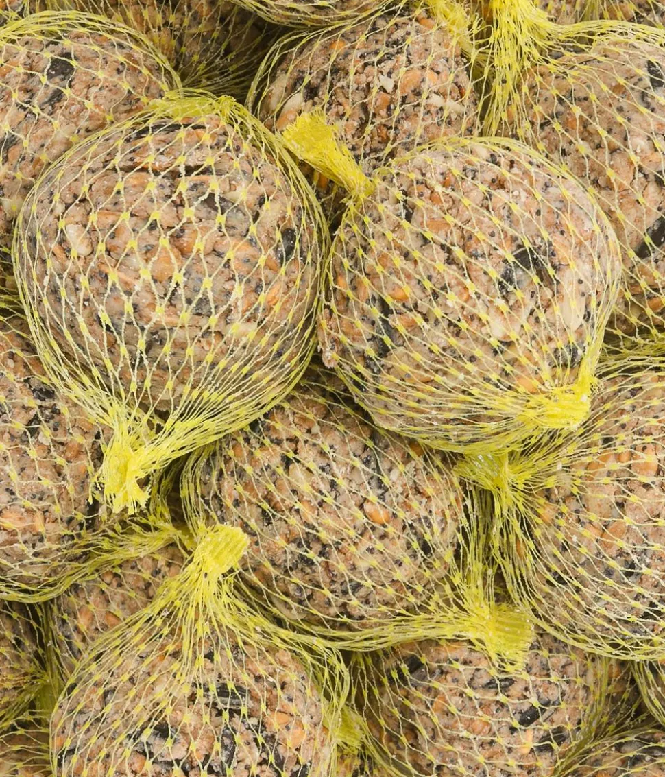 Dehner Natura Premium Wildvogelfutter Mohn-Meisenknödel im Eimer, mit Netz, 30 Stk.