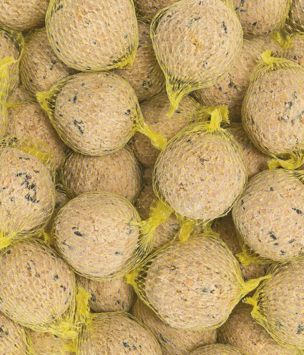 Dehner Natura Premium Wildvogelfutter Müsli-Meisenknödel im Eimer, mit Netz, 30 Stk.