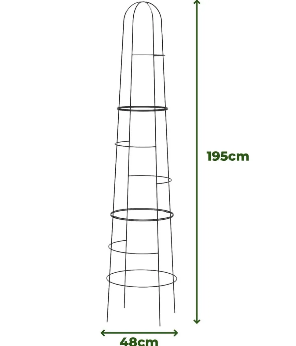 Dehner Obelisk Kuro