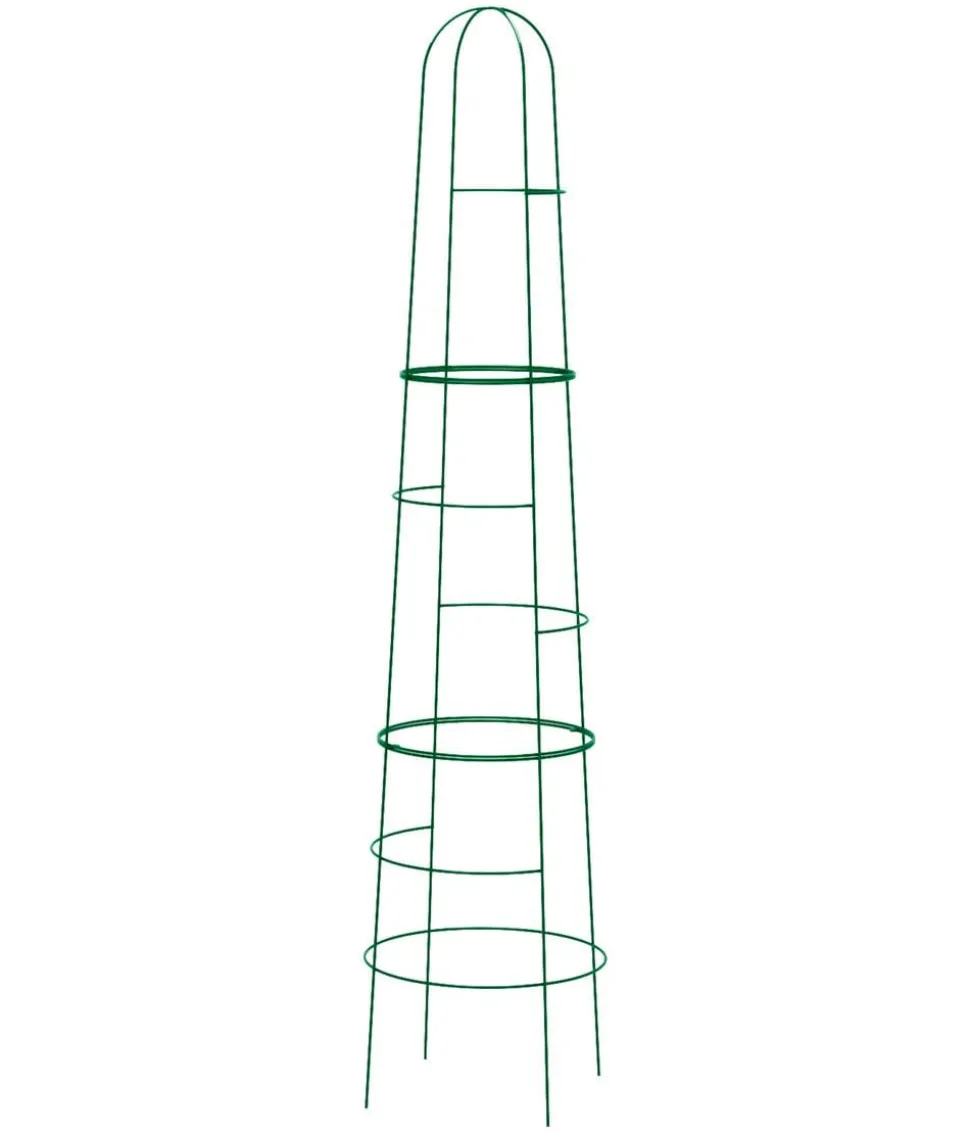 Dehner Obelisk Kuro