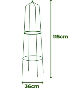 Dehner Obelisk Nova