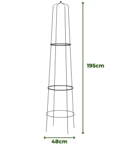 Dehner Obelisk Nova