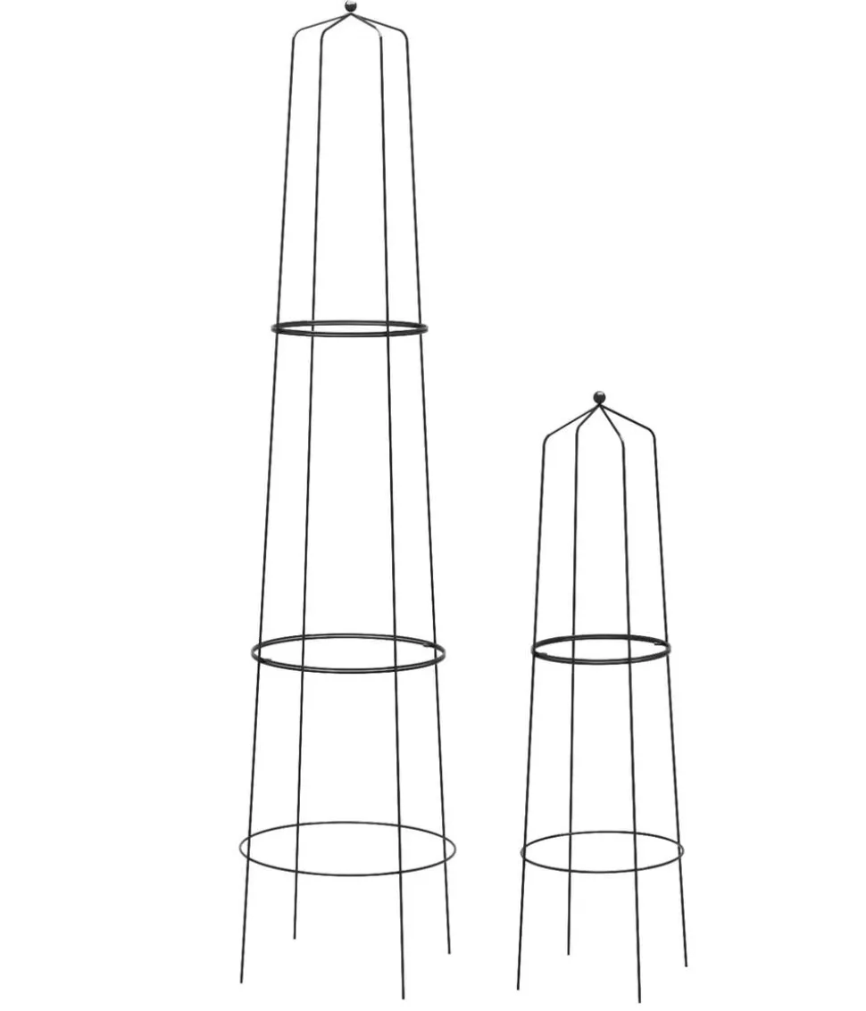Dehner Obelisk-Sekt Nova, 2-teilig