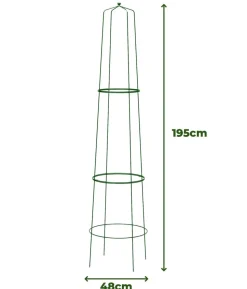 Dehner Obelisk-Sekt Nova, 2-teilig
