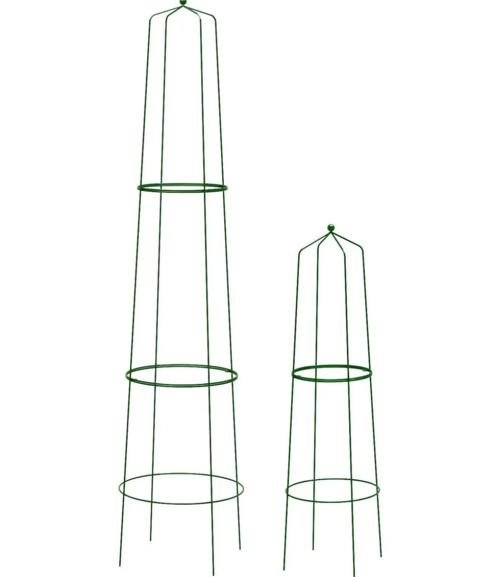 Dehner Obelisk-Sekt Nova, 2-teilig