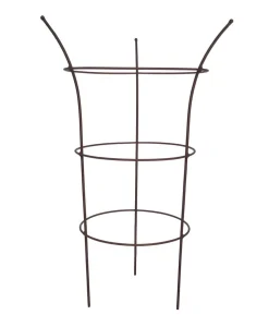 Dehner Pflanzstütze Chester, ca. Ø50/H70 cm