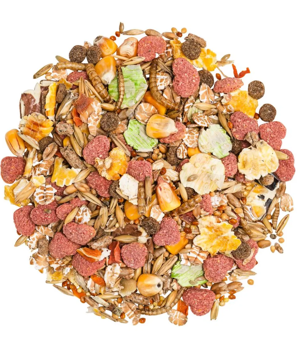 Dehner Premium Hamsterfutter, 750 g