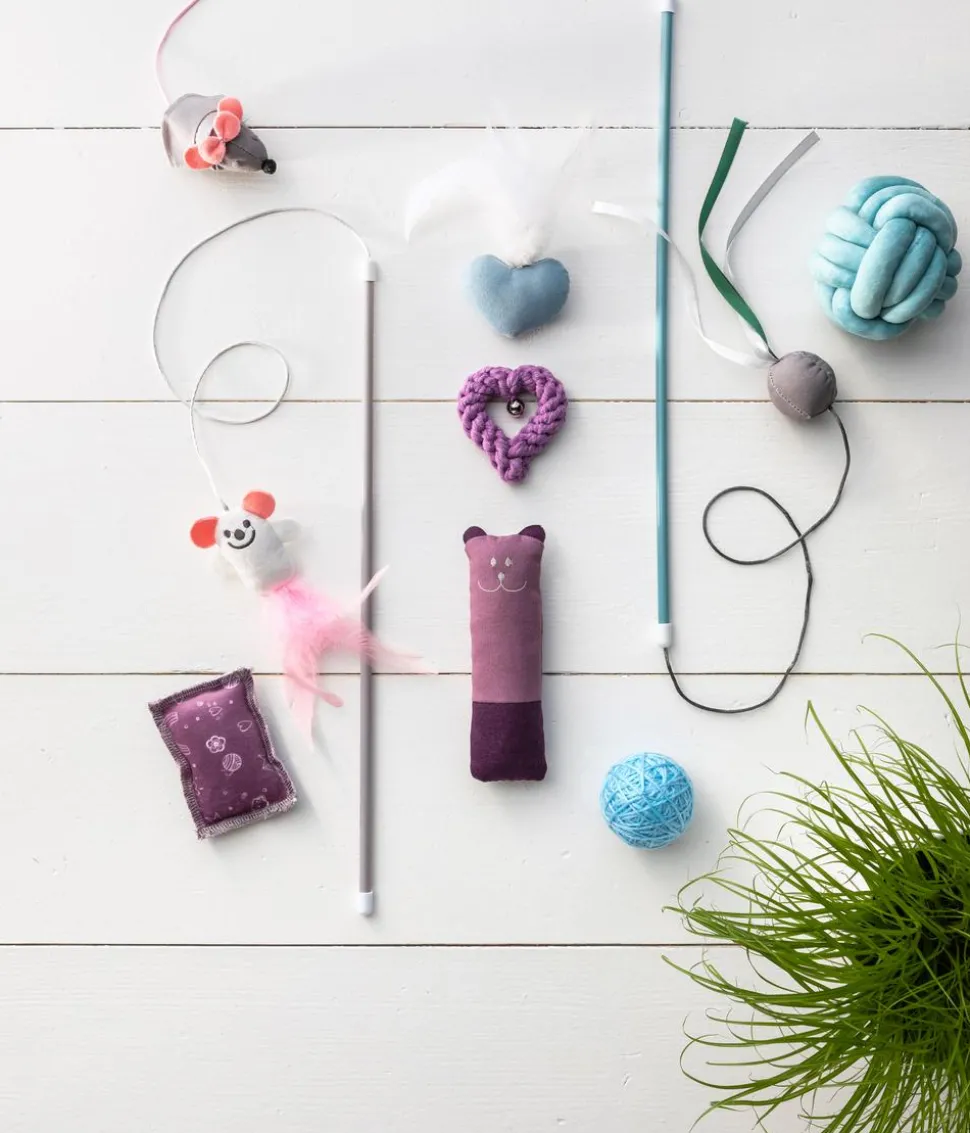 Dehner Premium Lovely Katzenspielzeug Spielangel Jag mich!