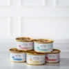Dehner Premium Lovely Nassfutter für Katzen in Gelee Pass auf dich auf!, 24 x 85 g