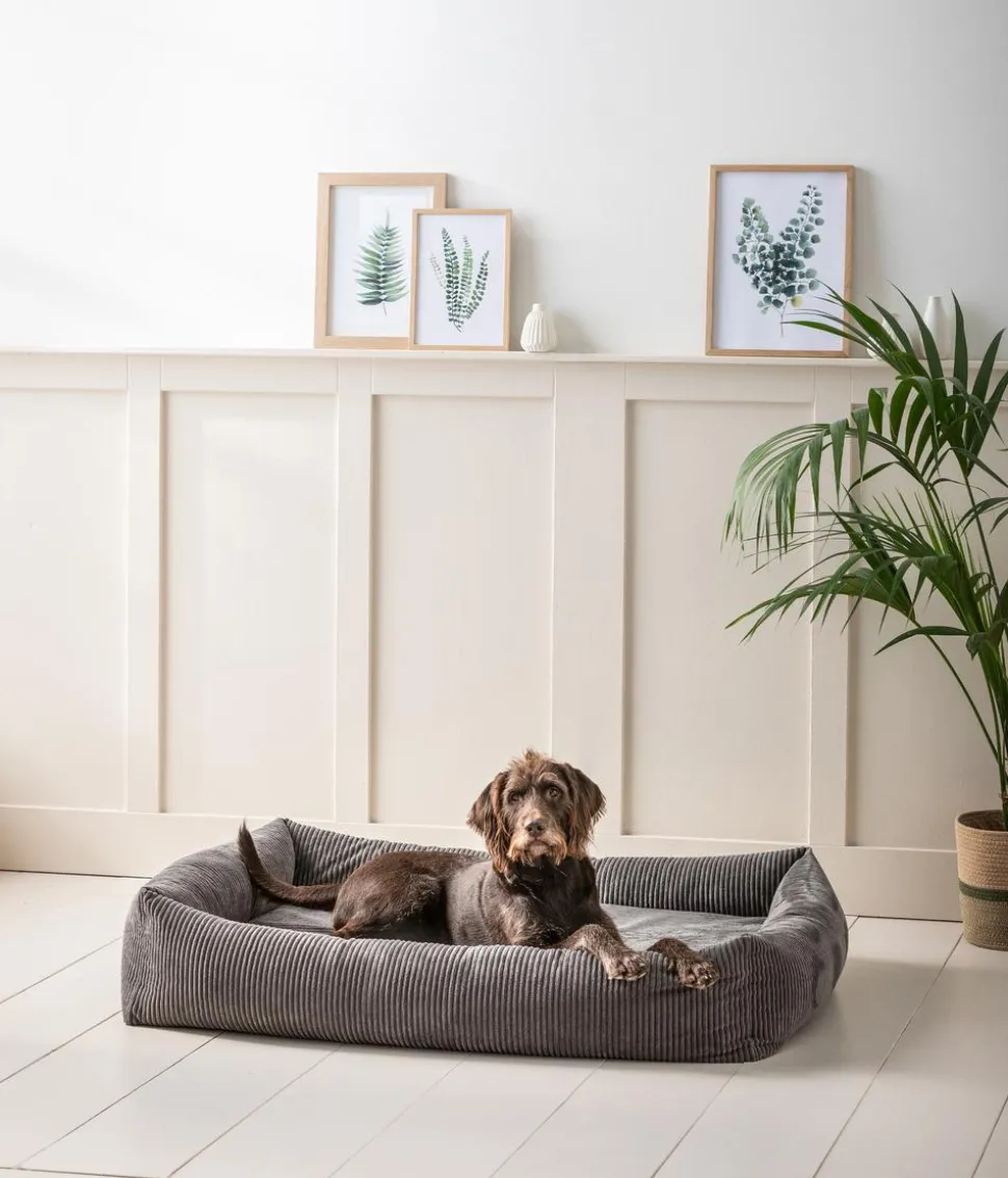 Dehner Premium Orthopädisches Hundebett Yumah, rechteckig, ca. B120/H23/T90 cm