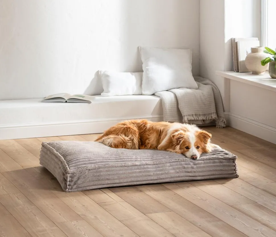 Dehner Premium Orthopädische Hundematratze Soyala, rechteckig, ca. B120/H15/T80 cm