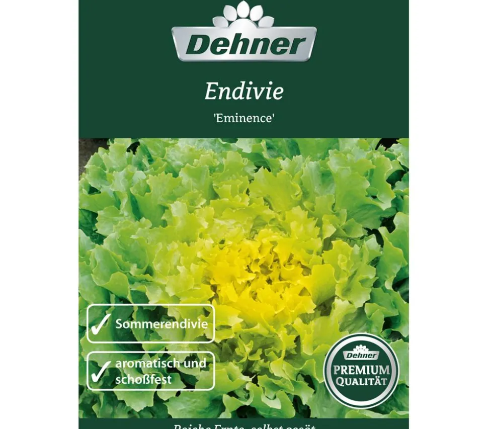 Dehner Premium Samen Endivien 'Eminence'