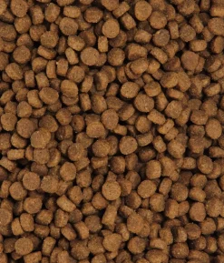 Dehner Premium Trockenfutter für Katzen Adult