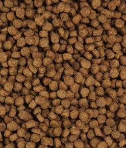 Dehner Premium Trockenfutter für Katzen Kitten, Huhn