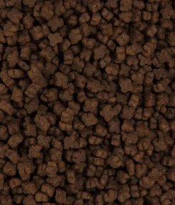 Dehner Premium Trockenfutter für Katzen Kitten, Huhn
