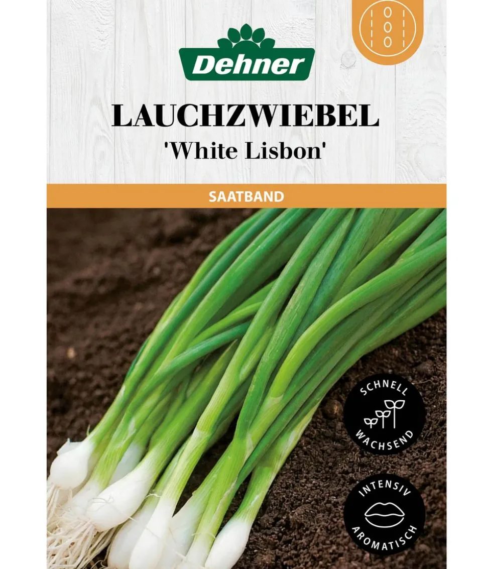 Dehner Saatband Lauchzwiebel 'White Lisbon', L5 m