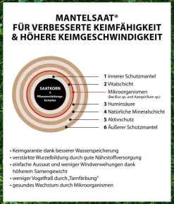 Dehner Saatgut Mikroklee-Rasen