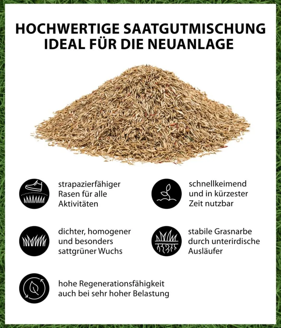 Dehner Saatgut Spiel- und Sportrasen