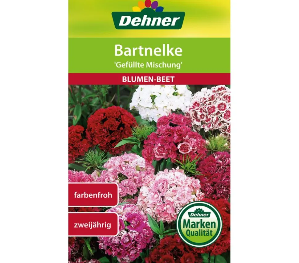 Dehner Samen Bartnelke 'Gefüllte Prachtmischung'