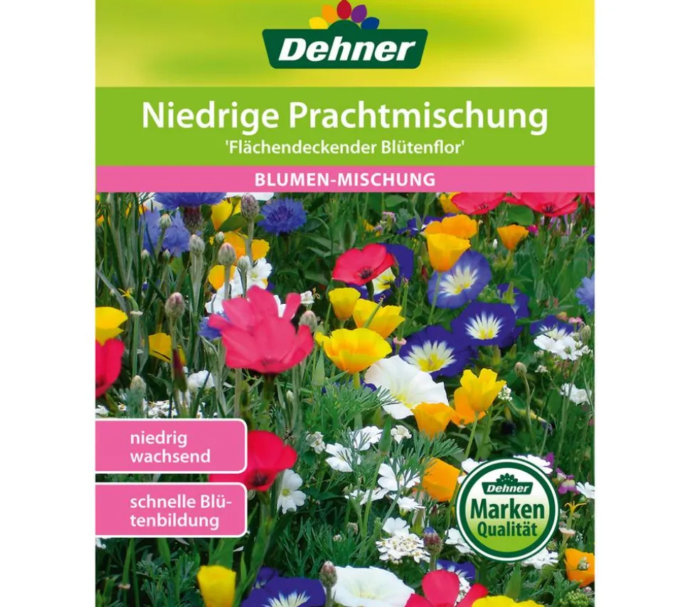 Dehner Samen Blumenmischung 'Original Mössinger Sommer'