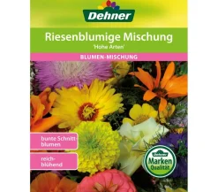 Dehner Samen Blumenmischung 'Balkonmischung Hängende Gärten'
