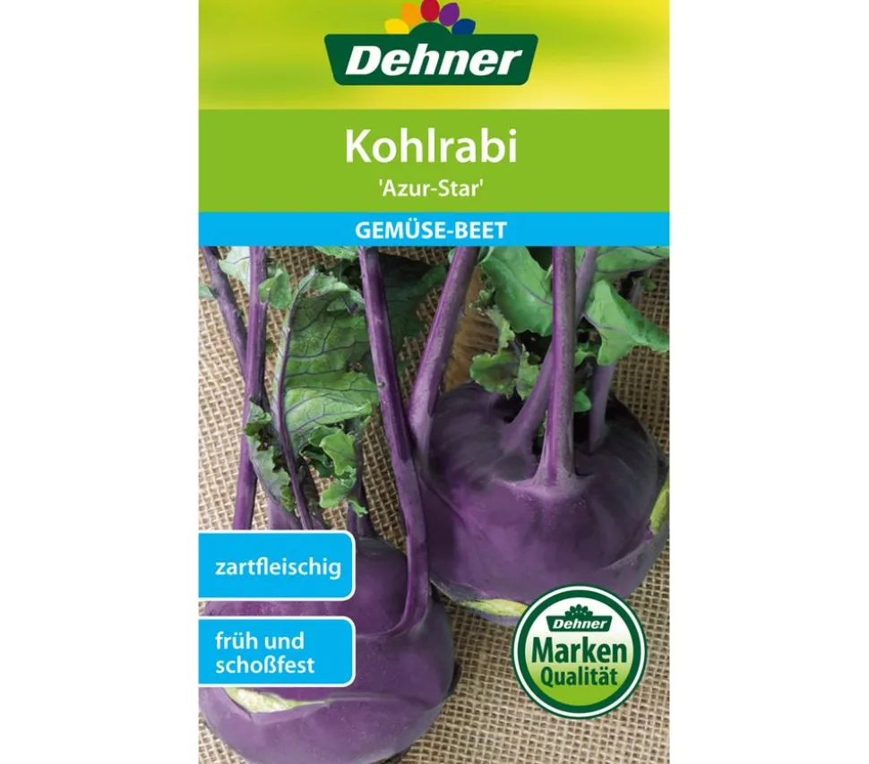Dehner Samen Kohlrabi 'Azur-Star'